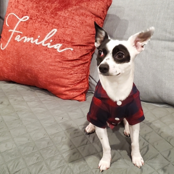 Plaid Dog Puppy Shirt Size XS - Picture 5 of 14